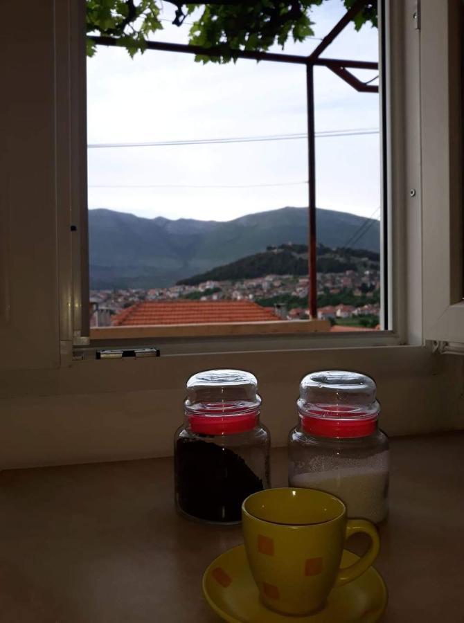Apartment Tanja Trebinje Zewnętrze zdjęcie
