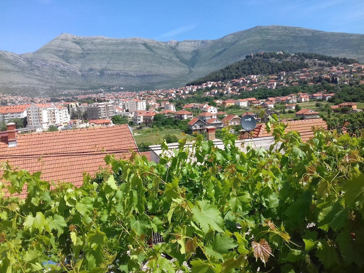 Apartment Tanja Trebinje Zewnętrze zdjęcie